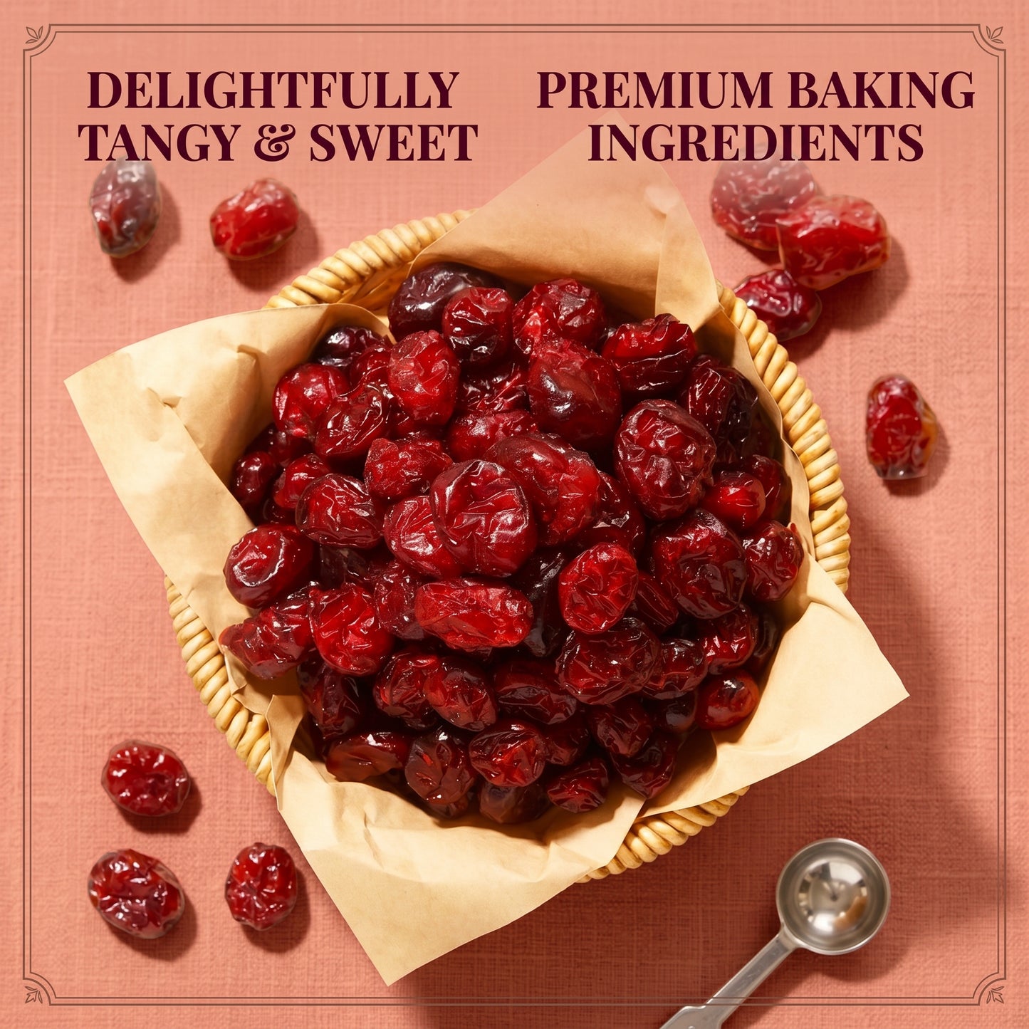 Dried cranberry snack-Bestseller