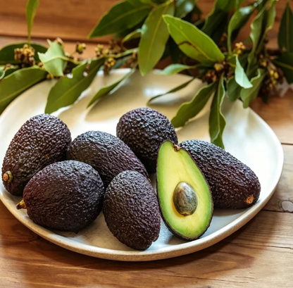 🍃 The Heirloom Estate Collection: 13-Variety Curated Fruit Garden Pack (Non-GMO) 🌳 -Bestseller